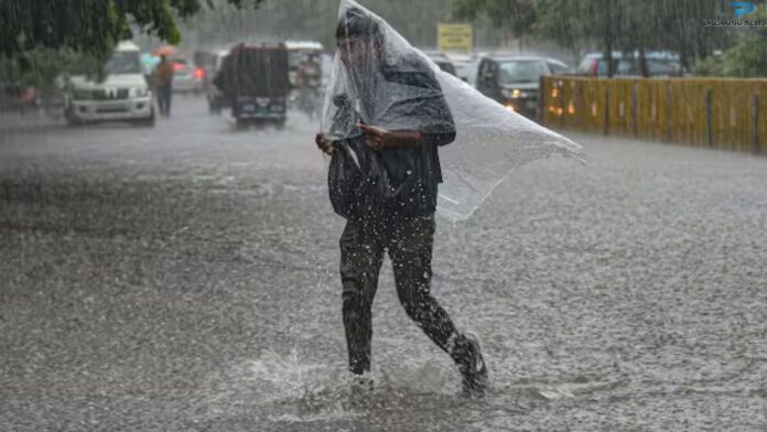 UP Weather Update: यूपी में ये जिले हो सकते हैं भारी बारिश का शिकार, कहीं आपका भी जिला......