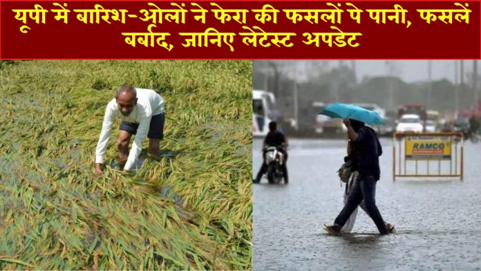 Up Weather Latest update: यूपी में बारिश-ओलों ने फेरा की फसलों पे पानी, फसलें बर्बाद, जानिए लेटेस्ट अपडेट