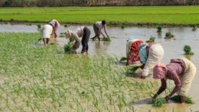 UP Rain Update: यूपी में अगले चार दिन होगी भारी बारिश, ऑरेंज अलर्ट, किसानों को बड़ी राहत