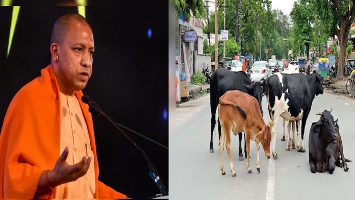 UP News : गायों की सुरक्षा के लिए योगी सरकार का सख्त कदम